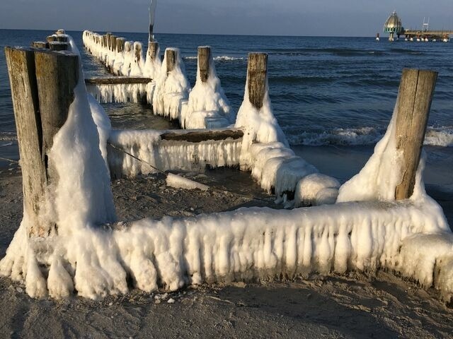 Ferienwohnung in Zingst - Boddenkieker 15 - Bild 23