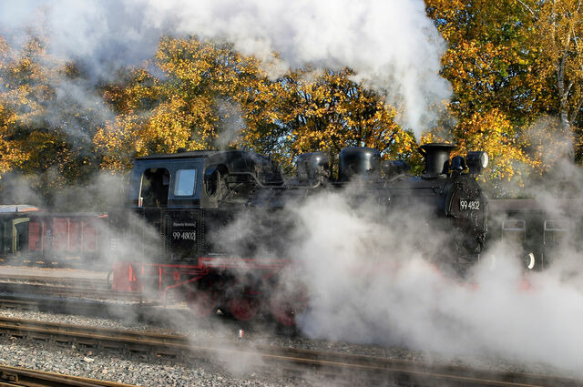 Ferienhaus in Baabe - Villa Hügel - Baabe - Bild 24