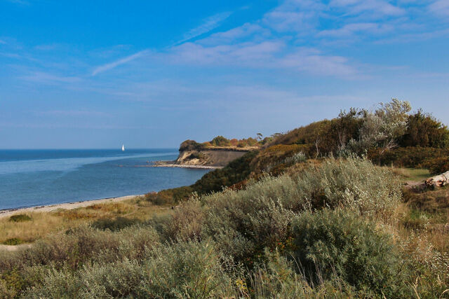 Ferienwohnung in Dranske - Ferienwohnung Schatzkästchen - Bild 14