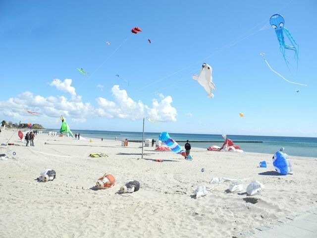 Ferienwohnung in Großenbrode - Möwennest 7 - Großenbrode - Bild 11