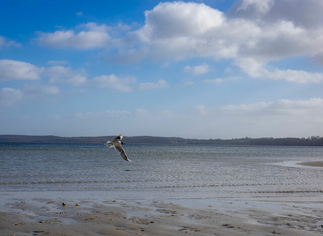 Ferienhaus in Glücksburg - Ferienhaus "Blaue Blume" - Bild 19