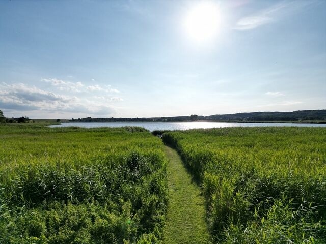 Ferienwohnung in Sellin - Uns L&uuml;tje Hus - Sellin - Bild 17