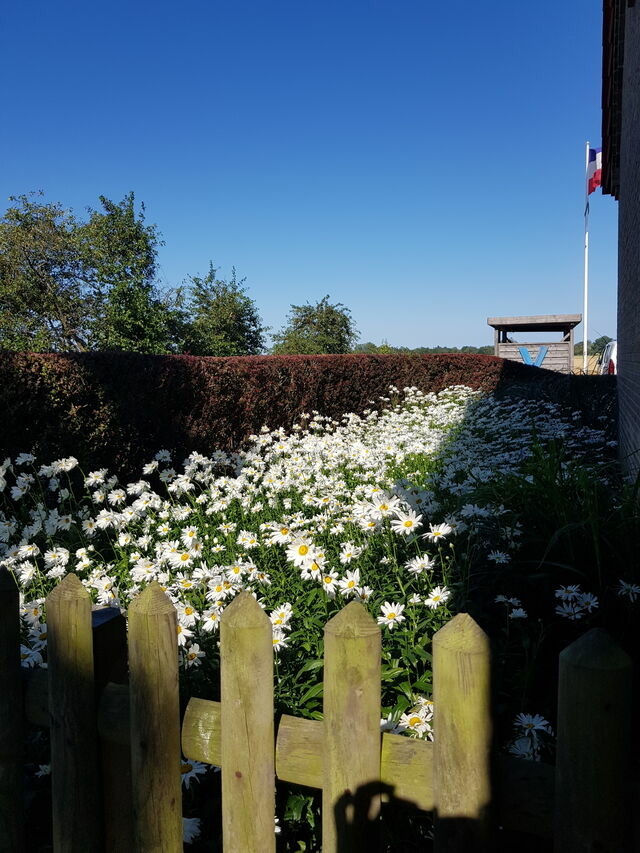 Ferienwohnung in Fehmarn - Haus im Felde Whg. 1 - Bild 13