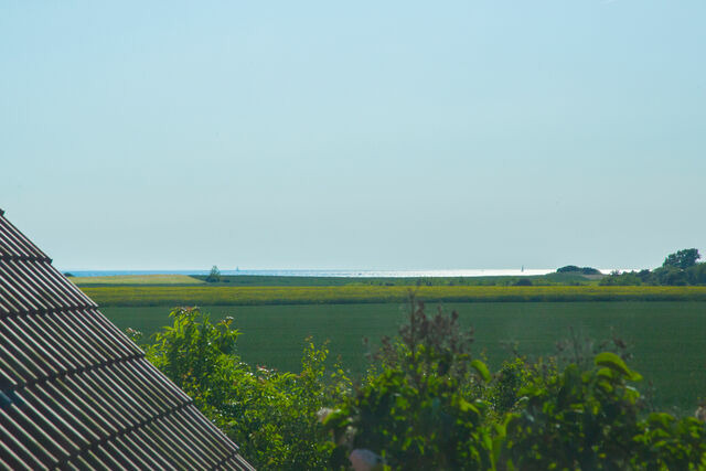 Ferienwohnung in Fehmarn - Haus im Felde Whg. 1 - Bild 22