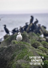 Ferienwohnung in Grömitz - Strandnahes Design-Wohlfühlappartement - Urlaub von Anfang an - Bild 21
