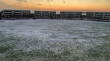 Ferienwohnung in Fehmarn OT Burgtiefe - Ostseeidyll - Bild 21
