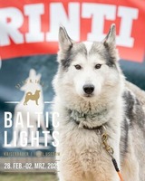 Ferienhaus in Lütow - Ferienhaus Köhler Am Achterwasser , Urlaub mit Hund - Bild 24