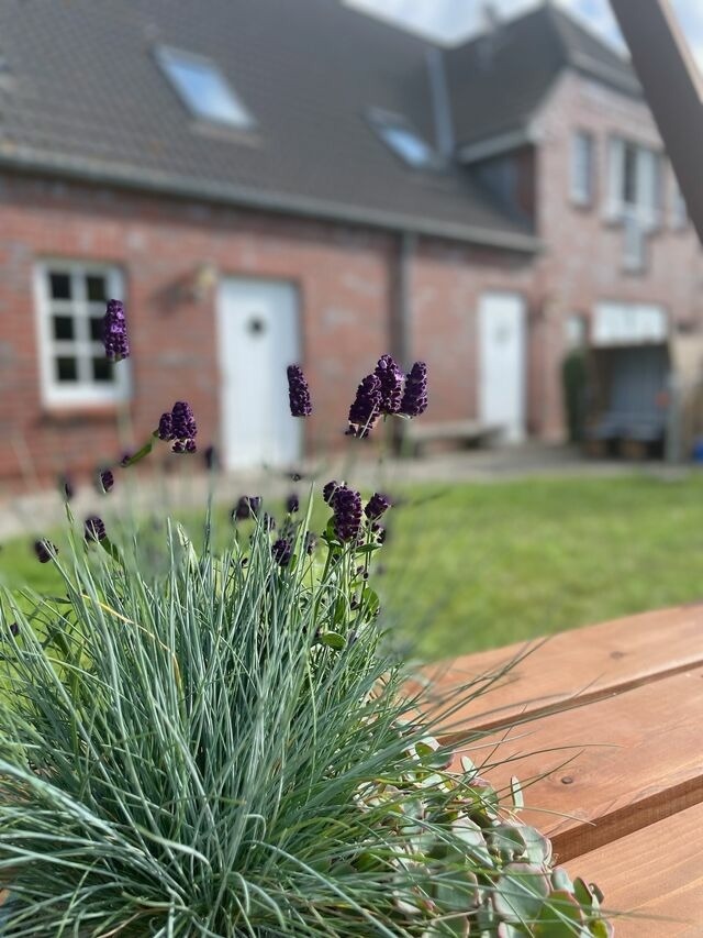 Ferienwohnung in Fehmarn OT Wulfen - Fru Hansen - Bild 16