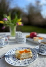 Ferienwohnung in Fehmarn OT Wulfen - Sybille Sonnenbrille - Bild 25