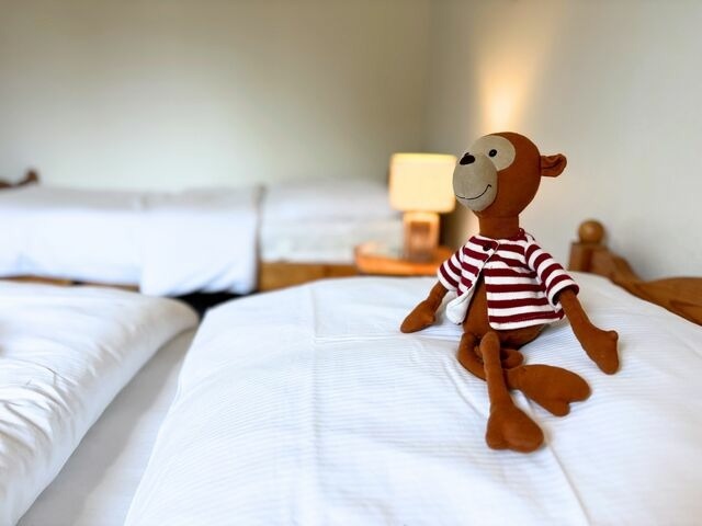 Ferienwohnung in Fehmarn OT Wulfen - Ruth Sonnenhut - Bild 14