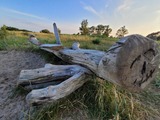 Ferienwohnung in Lütow - Ostsee XXL Ferienwohnung Usedom Familie Stopp (25/26) - Bild 18