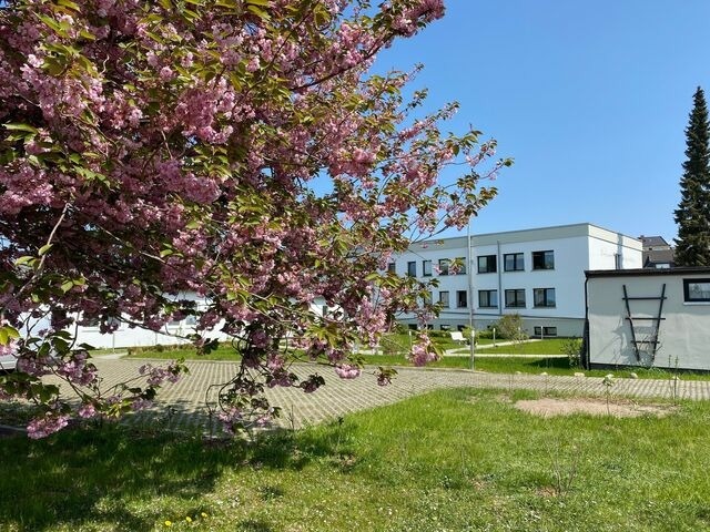 Ferienwohnung in Bergen auf Rügen - Apartment Ferientiet - Bild 11