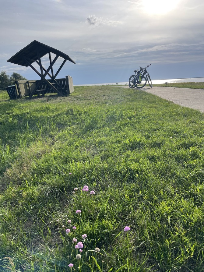 Ferienhaus in Ummanz - Haus am Deich - Bild 18