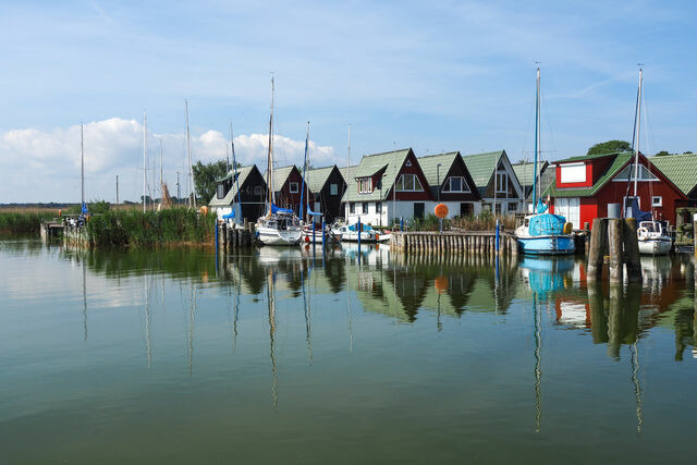 Ferienwohnung in Ostseeheilbad Zingst - Villa Balticum 6 - Bild 12
