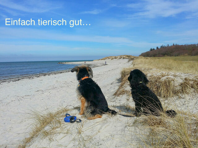 Ferienwohnung in Wendtorf - Ap. K&uuml;stenliebe - Haus Nordlichter - Bild 22