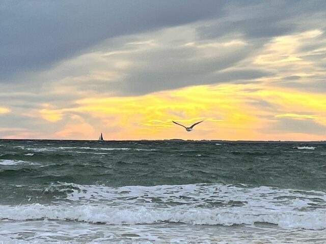 Ferienwohnung in Grömitz - Hanseat I Whg 44 mit Meerblick - Bild 24