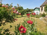 Ferienwohnung in Grödersby - 71 qm Ferienwohnung mit Schleiblick - Bild 19