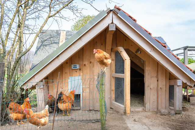 Ferienwohnung in Waabs - Ostseegarten Langholz - Ferienwohnung Ostwind (bis 4 Pers) - Bild 20