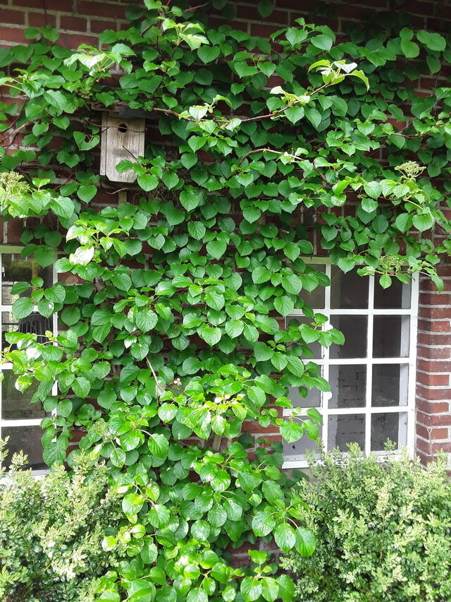 Ferienwohnung in Holzdorf - Ferienwohnung im Skulpturengarten Grünlund - Bild 18