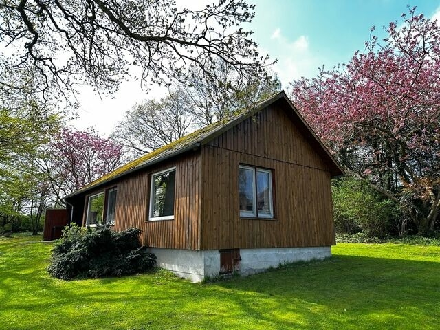 Ferienhaus in Gr&ouml;dersby - Ferienhaus Schleiblick - Bild 2