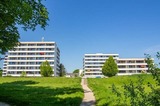 Ferienwohnung in Kellenhusen - FeWo Kogge 3-1-3 - Bild 1