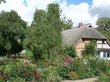 Ferienwohnung in Starkow - Ferienwohnung Rosengarten am Pfarrgarten Starkow - Bild 10