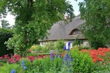 Ferienwohnung in Starkow - Ferienwohnung Birnengarten am Pfarrgarten Starkow - Bild 7