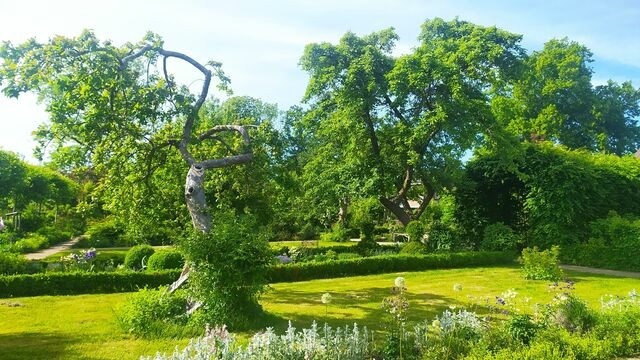 Ferienwohnung in Starkow - Ferienwohnung Birnengarten am Pfarrgarten Starkow - Bild 14