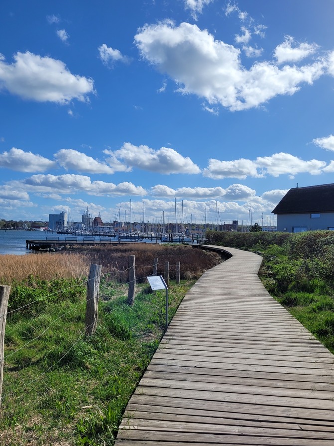 Ferienwohnung in Heiligenhafen - Fewo Todeskino "Möwennest" - Bild 22