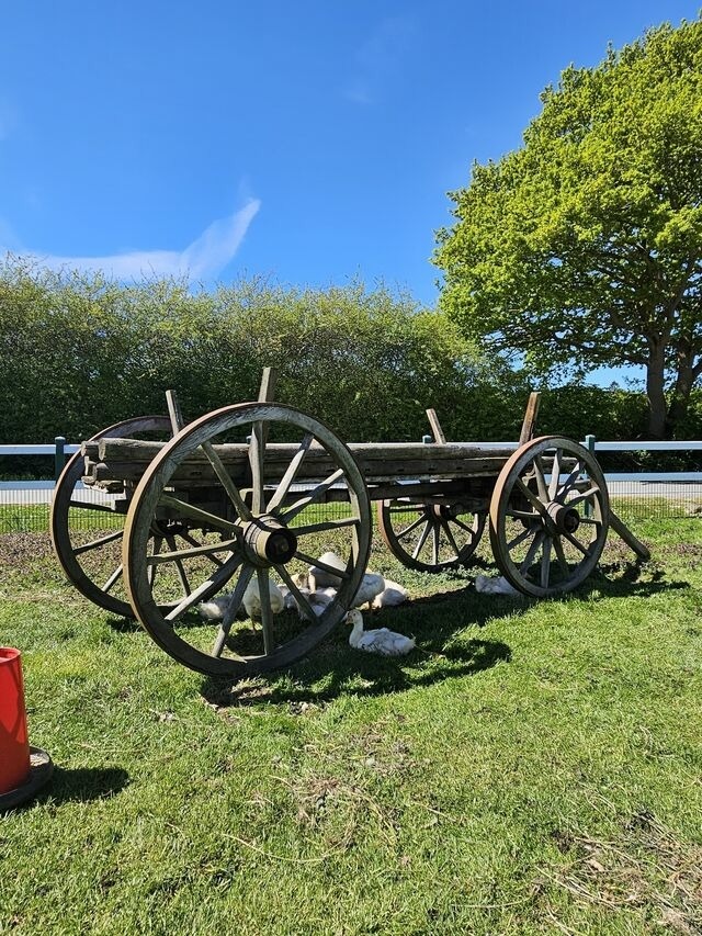 Ferienhaus in Grömitz - Hof Hagen - "An der Lämmerkoppel" (Neubau) - Bild 22