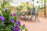 Ferienwohnung in Dahme - Kleine Perle - Bild 9
