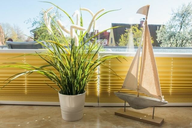 Ferienwohnung in Dahme - Silbermöwe - Bild 2