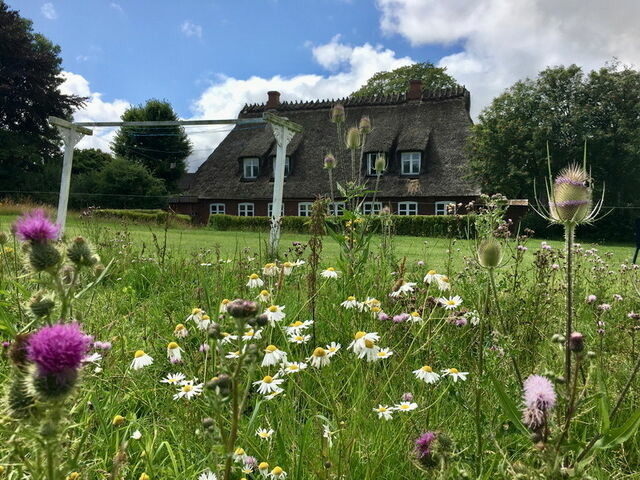 Ferienwohnung in Gelting - Appartement Ost - Bild 8