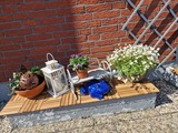 Ferienwohnung in Fehmarn OT Burg - Haus Fehmarn am Dorfteich | Wohnung 3 Nord - Bild 22