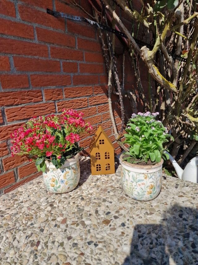 Ferienwohnung in Fehmarn - Haus Fehmarn am Dorfteich | Wohnung 1 Süd - Bild 13