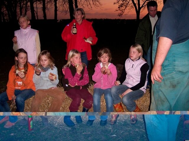 Ferienwohnung in Fehmarn OT Schlagsdorf - Bauernhof Urlaub FeWo Nr. 3 - 5-Personen - Bild 14