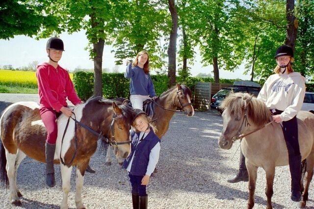 Ferienwohnung in Fehmarn OT Schlagsdorf - Bauernhof Urlaub FeWo Nr. 4 - 3-Personen - Bild 9