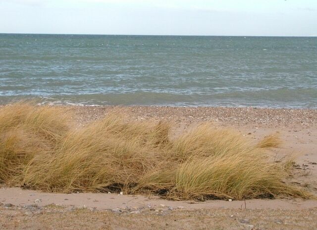 Ferienwohnung in Fehmarn OT Schlagsdorf - Bauernhof Urlaub FeWo Nr. 4 - 3-Personen - Bild 13