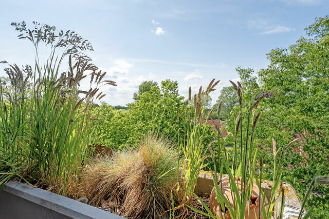 Ferienwohnung in Dahme - Berolina Wohnung 301 - Bild 9