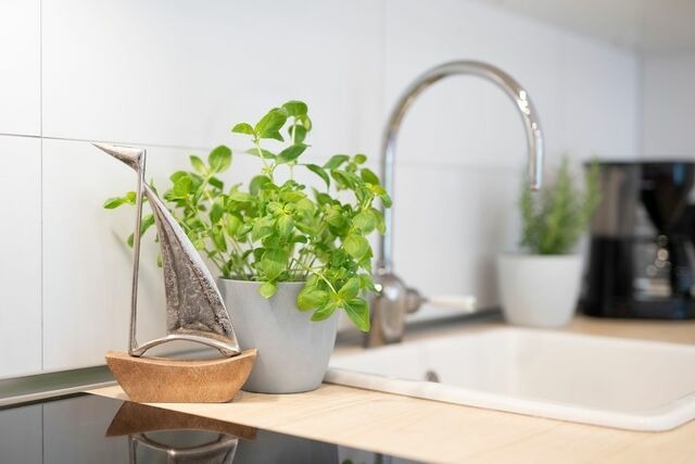 Ferienwohnung in Grömitz - Reiher 1 Süd - Bild 9