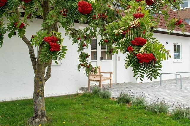 Ferienwohnung in Grömitz - Reiher 1 Süd - Bild 22