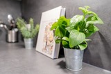 Ferienwohnung in Scharbeutz - Montemare Ankerplatz - Bild 10