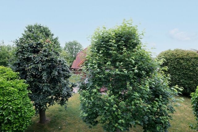 Ferienwohnung in Kellenhusen - Ahornweg 12 Urlaubsglück - Bild 11