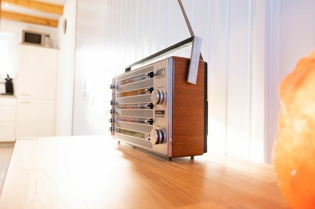 Ferienhaus in Süssau - Sonneneck 18 - Bild 8