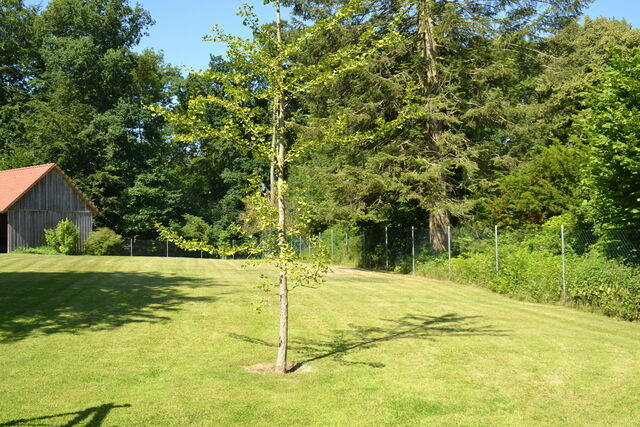 Ferienwohnung in Barkelsby-Hemmelmark - Alte Schule 1 - Bild 12