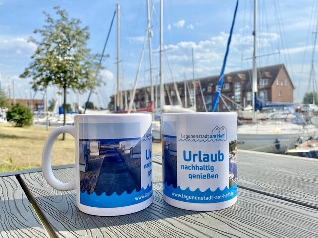 Ferienwohnung in Ueckermünde - Lagunenstadt am Haff Fewo 146 - Oberlicht - Bild 21