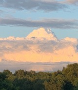 Ferienwohnung in Ascheffel - Wilsterberg FeWo "Kombi" - Bild 16