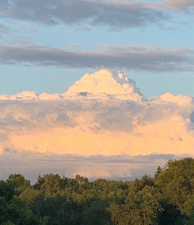 Ferienwohnung in Ascheffel - Wilsterberg FeWo "Kombi" - Bild 16