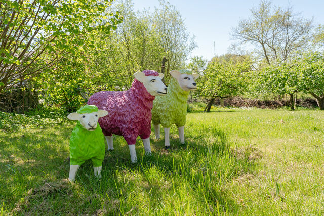 Ferienwohnung in Sch&ouml;nberg - Ostseeschwimmerin - Bild 19