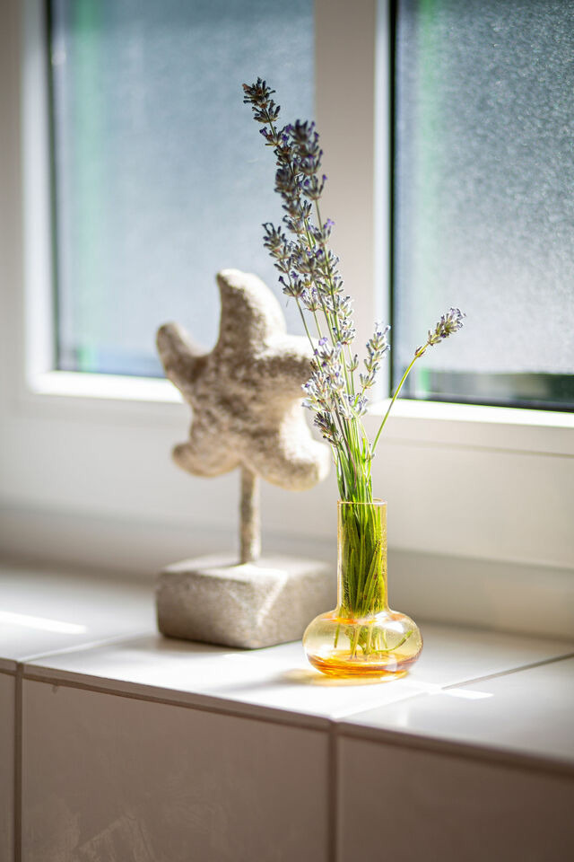 Ferienhaus in Fehmarn - Ferienhaus 4 - Bild 11